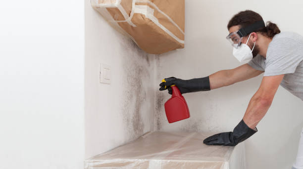 Professional Mold Removal technician working in Street, MD